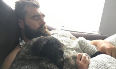 Jason Kelce Beloved Dog Dies ... 'Lost Part Of My Soul'