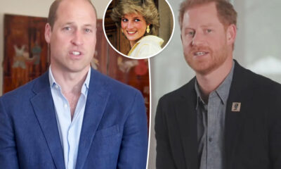 Royal Feud Saga: Prince William and Prince Harry to Appear Separately at Event in Late Mother Princess Diana’s Name