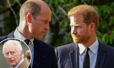 Prince William and Prince Harry Are Reportedly Set to Reconnect This Summer — and It’s Not Because of the Royal Family