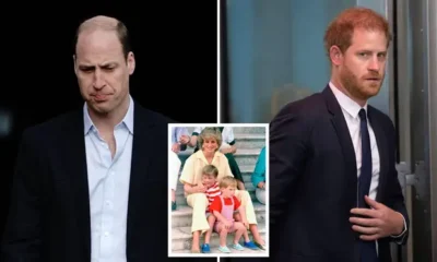 Princes William and Harry praise Diana’s legacy at London event