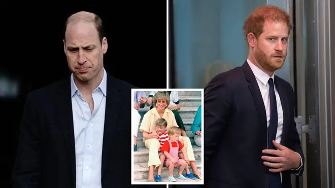 Princes William and Harry praise Diana’s legacy at London event