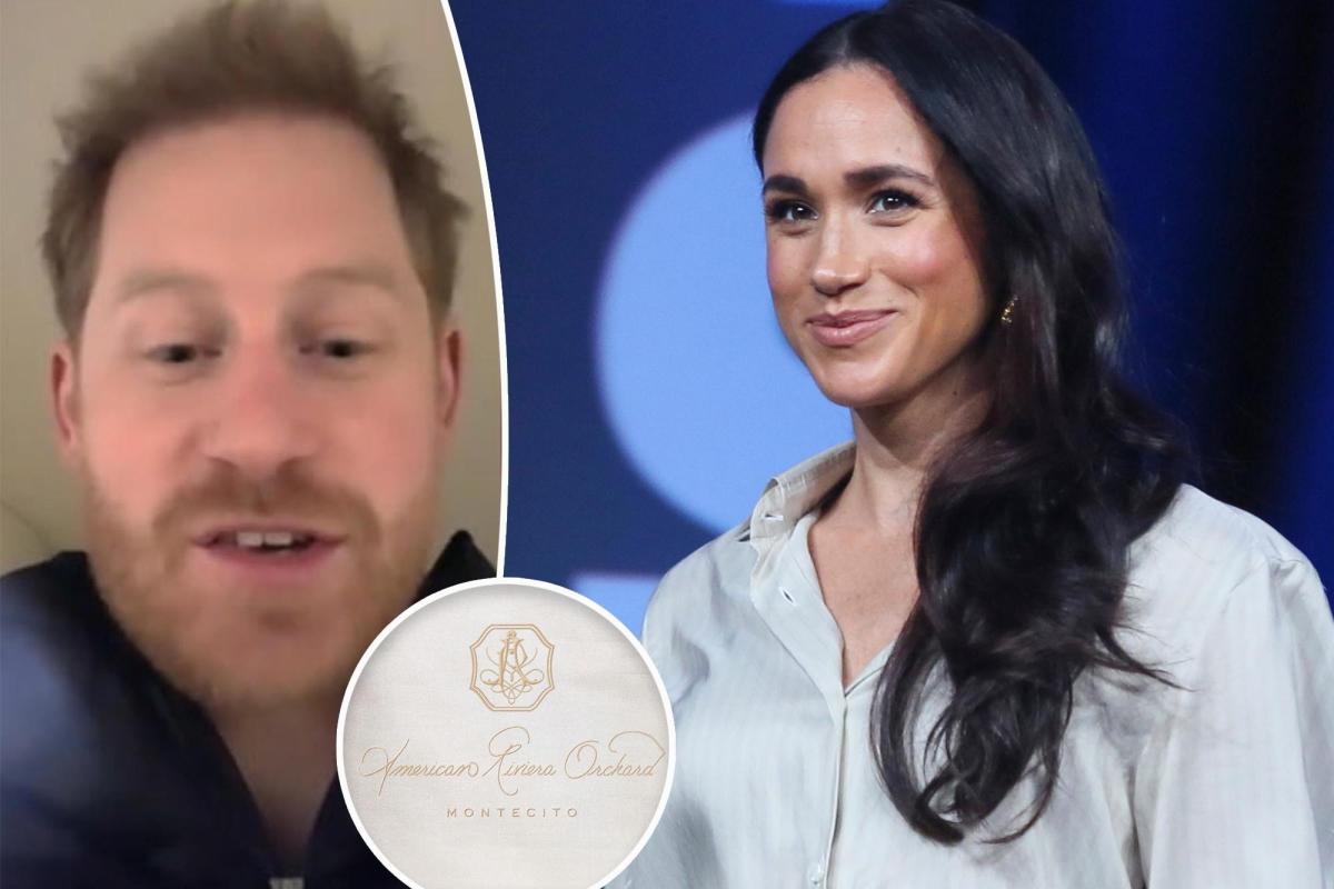 Meghan Markle has been savaged by a popular US host and commentator who slammed the Duchess's new brand launch aimed at the American market.