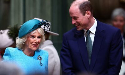 Prince Harry Doesn’t Trust Prince William’s Budding Relationship With ‘Wicked Stepmother’ Queen Camilla: Here's why a royal author says Prince Harry views his brother and his stepmother's newly-formed bond as a "betrayal."