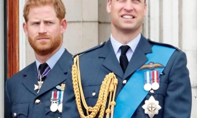 Prince Harry Is ‘One Step Closer to Isolation’ and Could Be ‘Destructive’ When Prince William Is King, According to someone who used to work for Prince William and Prince Harry's parents, there is no place for the Duke of Sussex when his brother becomes king because Harry is "destructive."