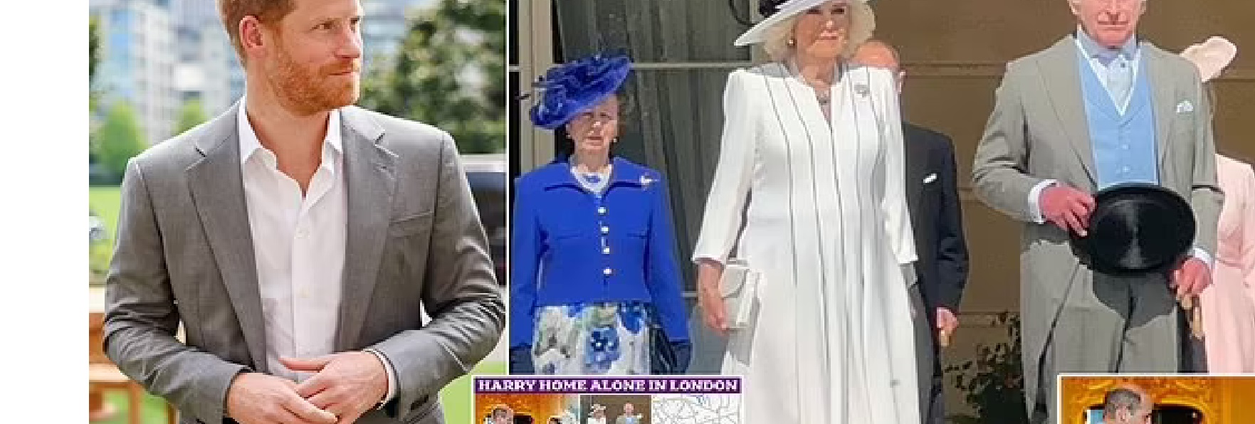 Prince Harry - live: Duke attends St Paul’s with Diana’s relatives as King snubs event for garden party, Prince Harry last visited following King Charles’s cancer diagnosis