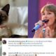 Taylor Swift is mocked by Gen Z for 'cringe' comment with too many exclamation marks and emojis (but millennials leap to her defense!)