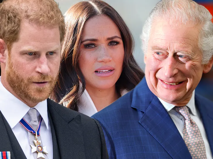 BREAKING: Reports says Prince Harry’s reconciliation efforts with family face renewed opposition from two royals....Story below