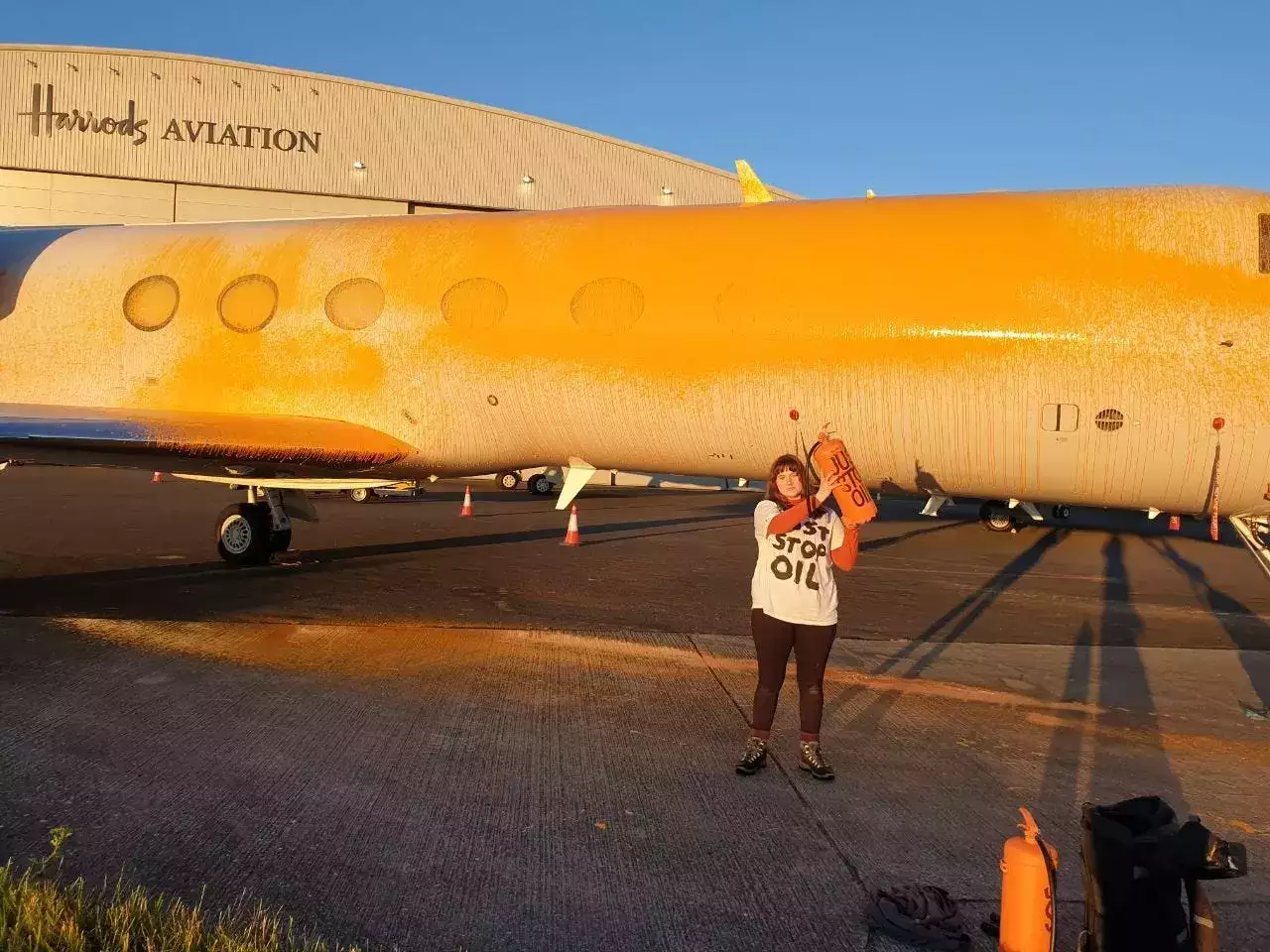 Climate activists covered private jets in orange paint in a Taylor Swift-inspired stunt, but didn't get her plane and were arrested after appearing to target Taylor Swift's jet.