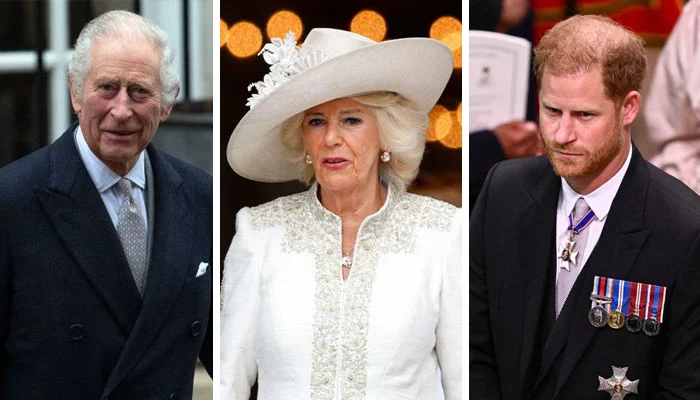 King Charles III was reportedly enraged by Prince Harry's criticisms of Queen Consort Camilla in his memoir "Spare," with one especially damaging nickname standing out!😡Read the comments!👇